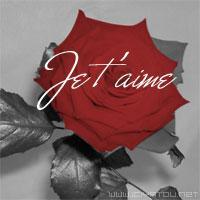je t'aime